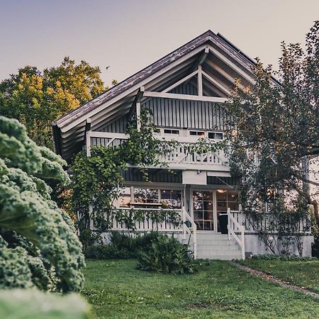 Gardenia-Altach, 2-4 P, Kueche, Garten, Terrasse, Parkplatz, Wifi, Ski Stellplatz Экстерьер фото
